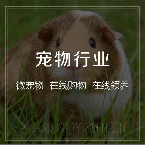 漯河宠物