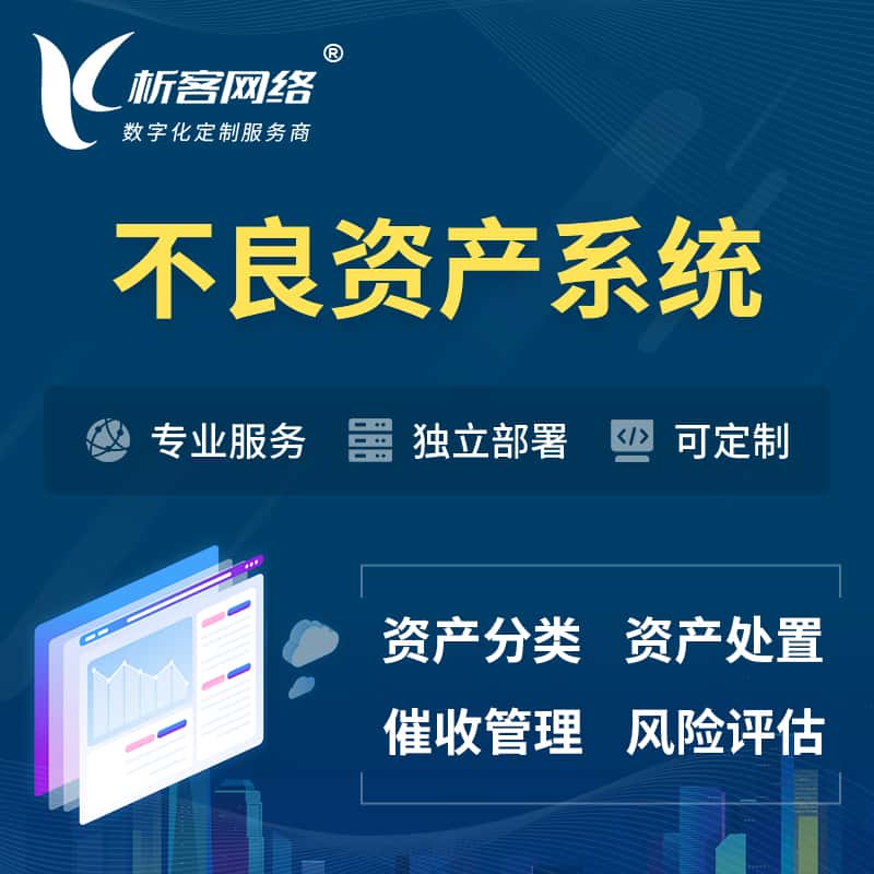 漯河不良资产管理系统